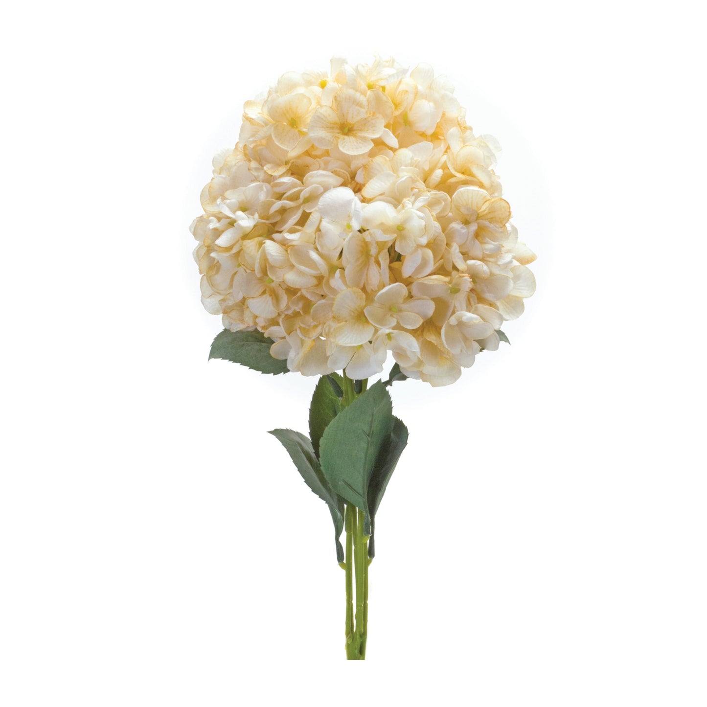 Hydrangea Bush Set with lifelike white and green blooms in a vase, showcasing vibrant colors and natural beauty in a room setting.