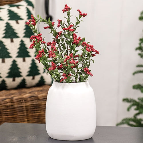 Matte white ceramic wide vase with a rounded shape, perfect for farmhouse decor, shelves, and dried stems