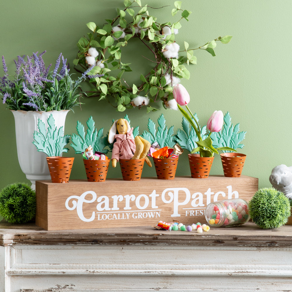 Carrot Patch Display Box