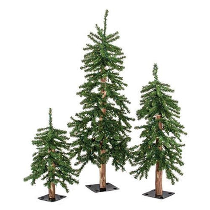 Set of 3 pre-lit alpine trees with clear bulbs, flexible branches, natural wood trunks, and black metal bases for holiday decor.  White background.
