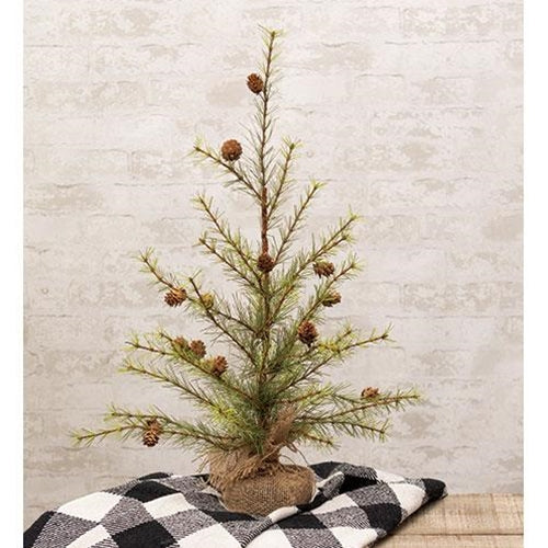 Cypress Pine Tree with wired branches, stiff green needles, natural pinecones, and a rustic burlap base.