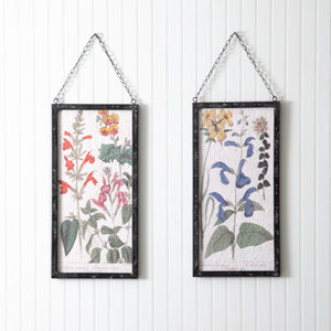 Set of Two Perennial Botanical Framed Prints - Countryside Home Decor
