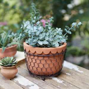 Chicken Wire Caddy with Scalloped Terra Cotta Pot - Countryside Home Decor