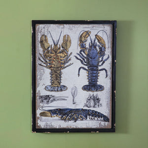 Scientific Blue Lobster Wall Decor - Countryside Home Decor