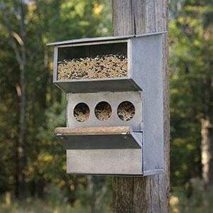 Backyard Buddies Bird Feeder - Countryside Home Decor
