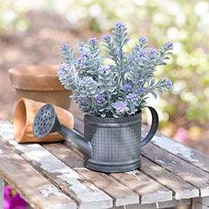 Mini Watering Can - Box of 2 - Countryside Home Decor